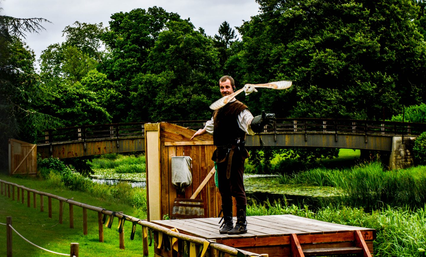 A barn owl swoops from the hand of the Falconer at Warwick Castle.