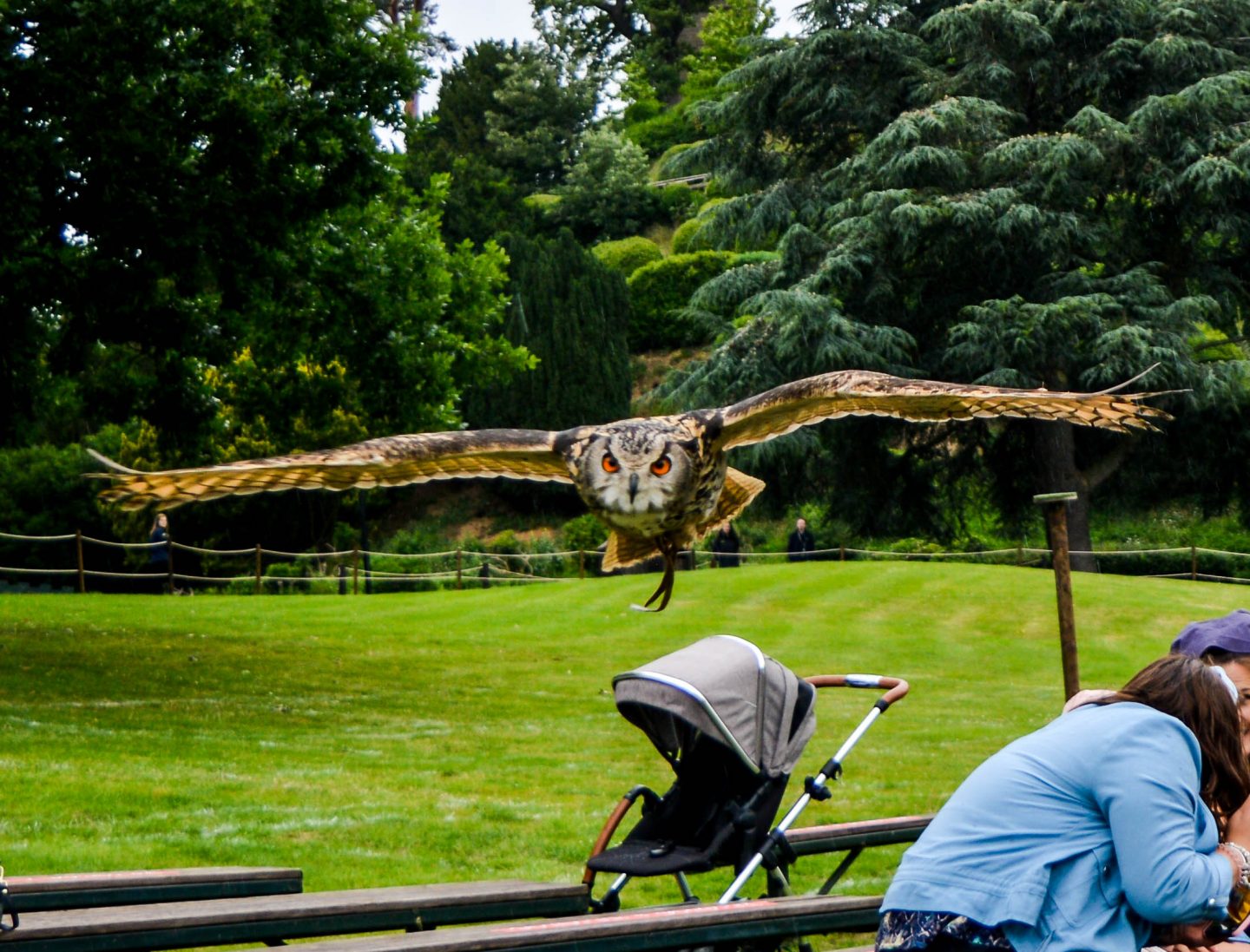 An eagle owl swops over the crowd, its orange eyes glowing.