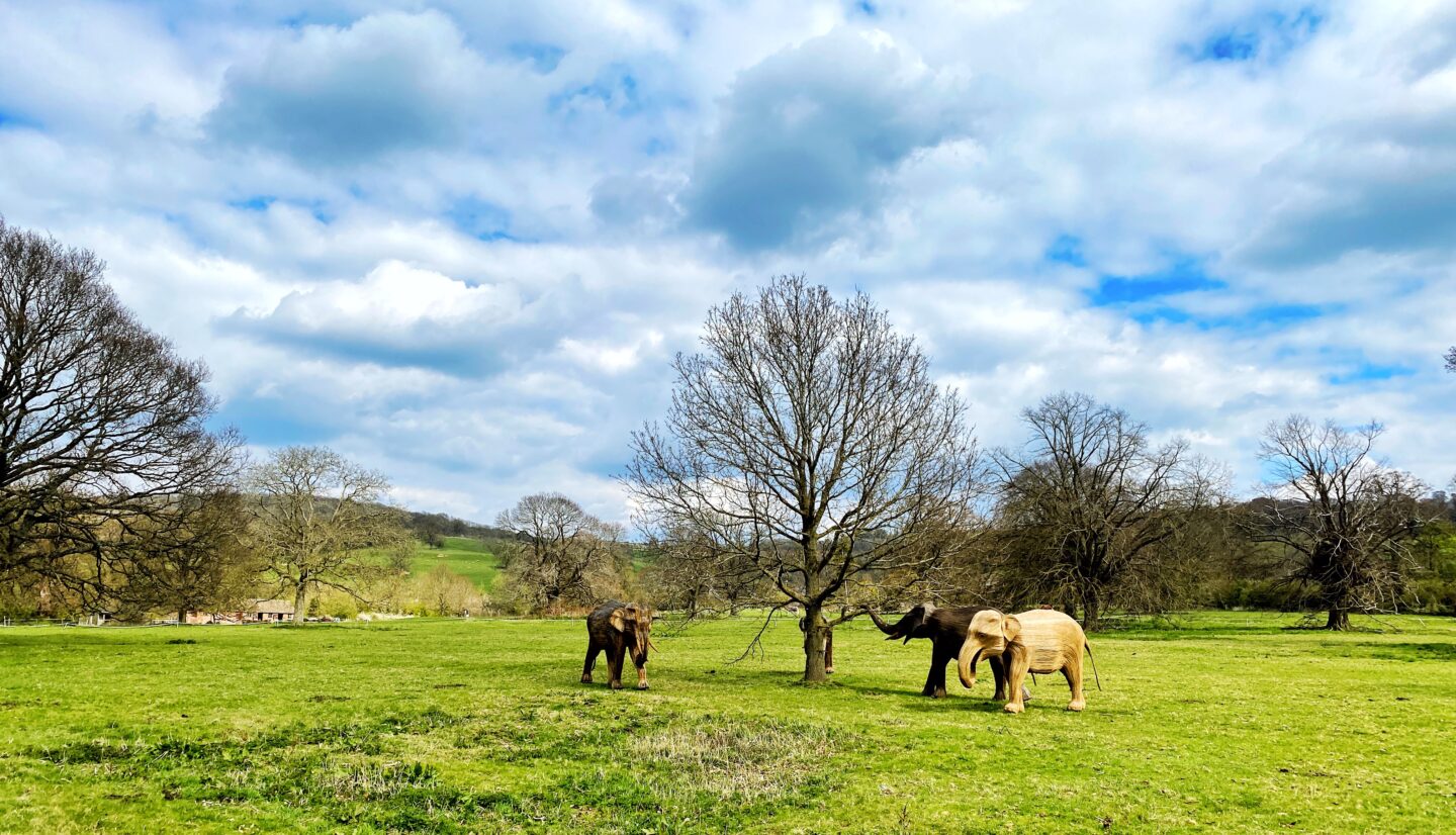 Three life size elephant sculptures stand in the field behind Sudeley Castle on the trail.