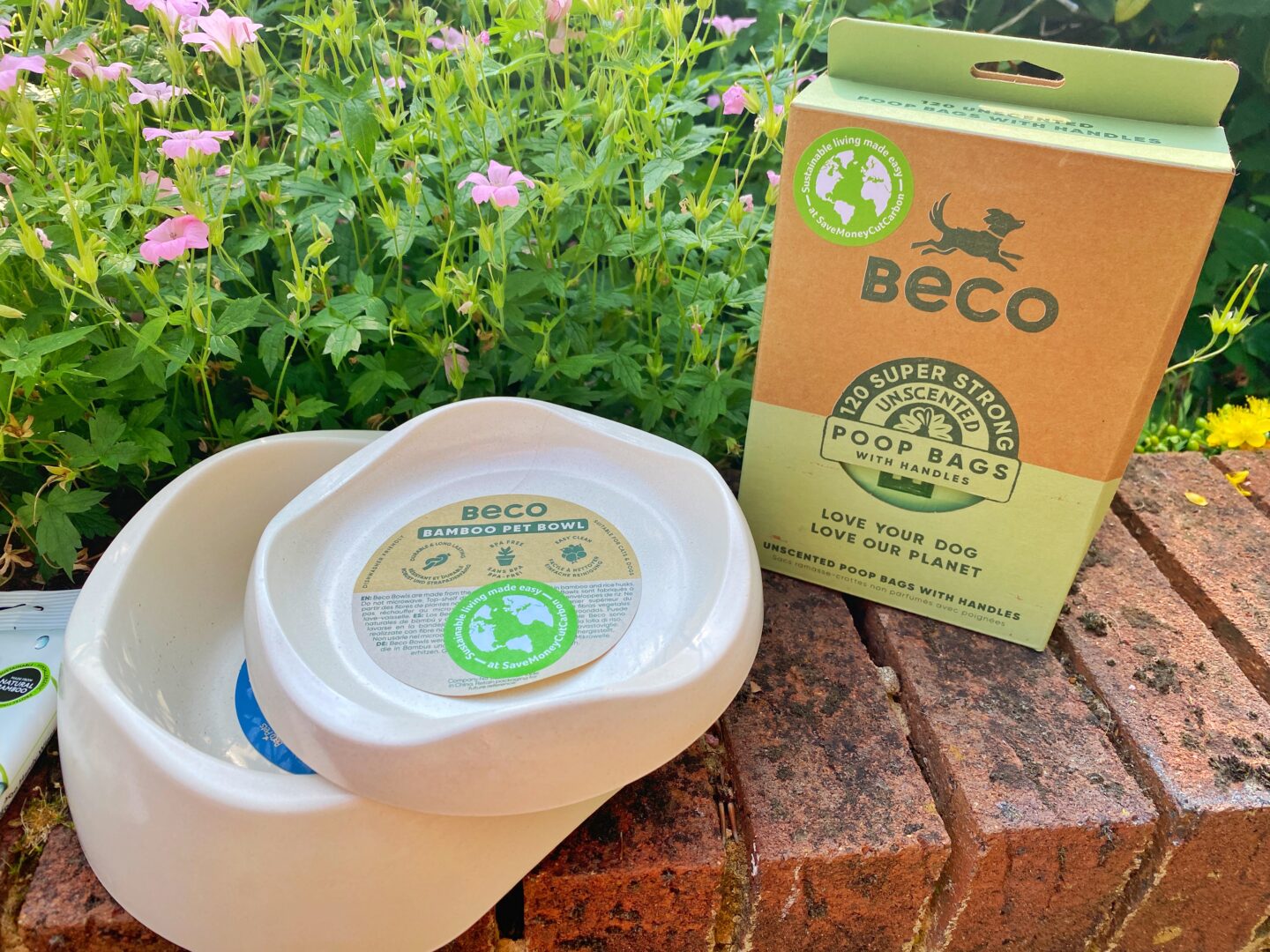 Beco bamboo pet bowls and dog waste bags for sustainable camping trips with your dog.